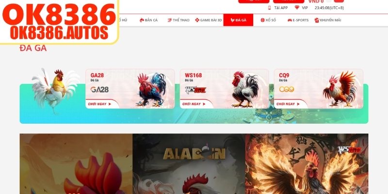 Tổng quan về sảnh cược đá gà OK8386 cho thành viên