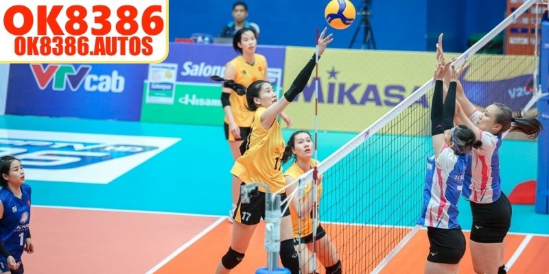 Tham gia bóng chuyền hấp dẫn