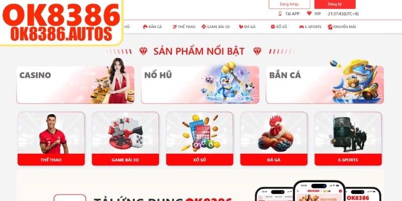 Những điều cần biết về mục hướng dẫn OK8386